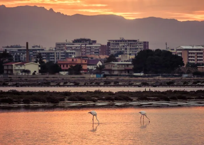 Il Gallo Bianco Cagliari